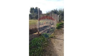 Venta de 10.000 m2 en Las Pircas - Santa Cruz