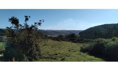 FUNDO en Venta 102 Ha Prov. ARAUCO