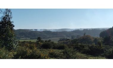 FUNDO en Venta 102 Ha Prov. ARAUCO