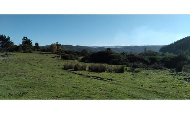 FUNDO en Venta 102 Ha Prov. ARAUCO