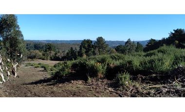 FUNDO en Venta 102 Ha Prov. ARAUCO