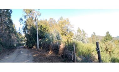 FUNDO en Venta 102 Ha Prov. ARAUCO