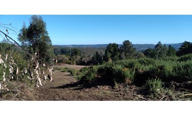 FUNDO en Venta 102 Ha Prov. ARAUCO