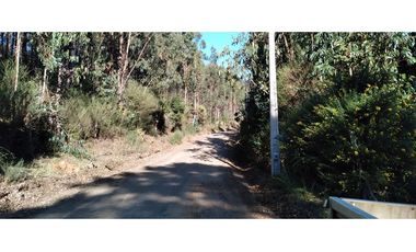 FUNDO en Venta 102 Ha Prov. ARAUCO