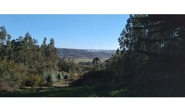 FUNDO en Venta 102 Ha Prov. ARAUCO