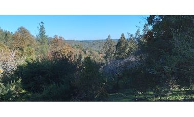 FUNDO en Venta 102 Ha Prov. ARAUCO