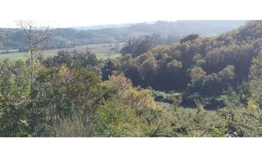 FUNDO en Venta 102 Ha Prov. ARAUCO