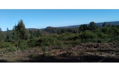 FUNDO en Venta 102 Ha Prov. ARAUCO