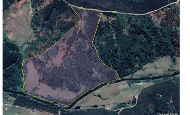 FUNDO en Venta 102 Ha Prov. ARAUCO