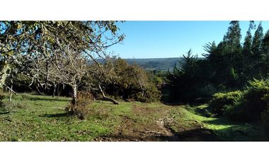 FUNDO en Venta 102 Ha Prov. ARAUCO