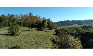 FUNDO en Venta 102 Ha Prov. ARAUCO