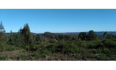 FUNDO en Venta 102 Ha Prov. ARAUCO