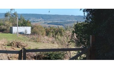 FUNDO en Venta 102 Ha Prov. ARAUCO