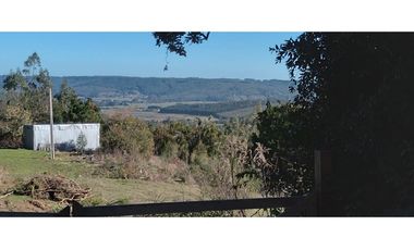 FUNDO en Venta 102 Ha Prov. ARAUCO