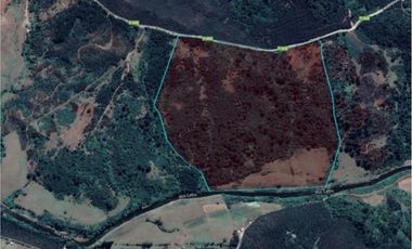 FUNDO en Venta 102 Ha Prov. ARAUCO