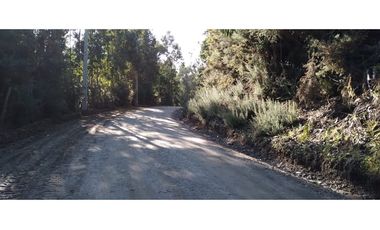 FUNDO en Venta 102 Ha Prov. ARAUCO
