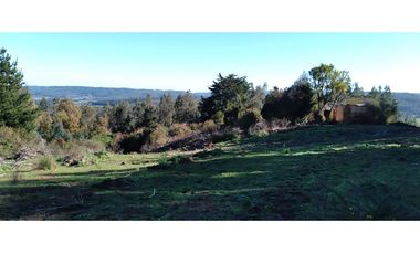 FUNDO en Venta 102 Ha Prov. ARAUCO