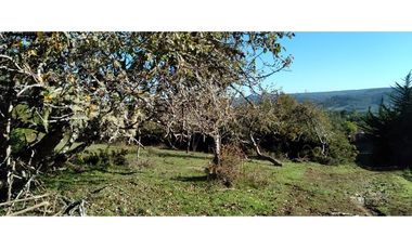 FUNDO en Venta 102 Ha Prov. ARAUCO