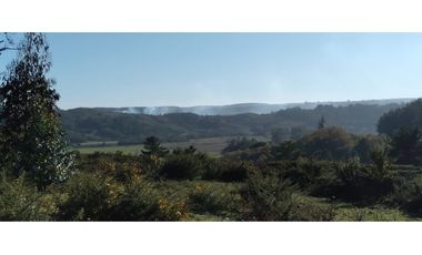 FUNDO en Venta 102 Ha Prov. ARAUCO