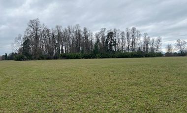 Venta parcelas ideal para inversión, Villarrica