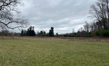 Venta parcelas ideal para inversión, Villarrica