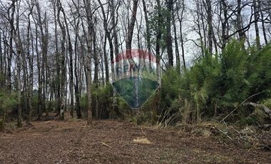 Venta parcelas ideal para inversión, Villarrica