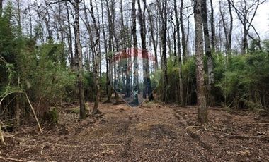 Venta parcelas ideal para inversión, Villarrica