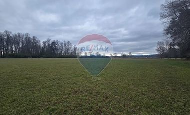 Venta parcelas ideal para inversión, Villarrica