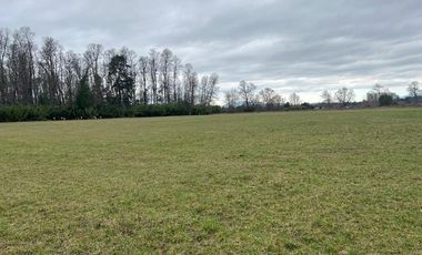 Venta parcelas ideal para inversión, Villarrica