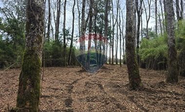 Venta parcelas ideal para inversión, Villarrica