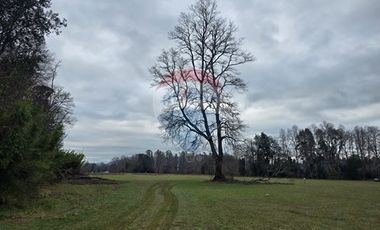 Venta parcelas ideal para inversión, Villarrica