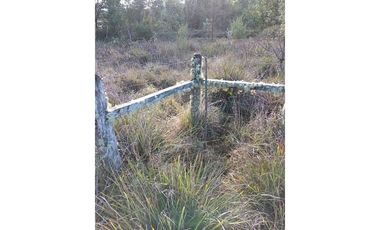 Parcela y Galpón,  Cerca de Lago Riñihue