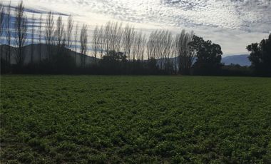 Parcela en Tierras Lindas, Colina