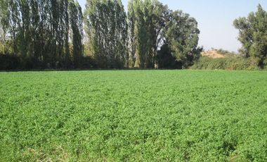 Parcela en Tierras Lindas, Colina