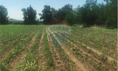 Parcela en Tierras Lindas, Colina