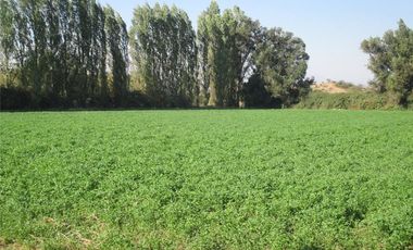 Parcela en Tierras Lindas, Colina