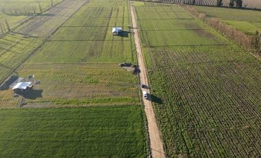 Venta de Terrenos de 5000m² en Palmilla