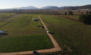 Venta de Terrenos de 5000m² en Palmilla