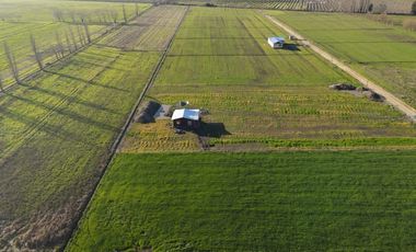 Venta de Terrenos de 5000m² en Palmilla