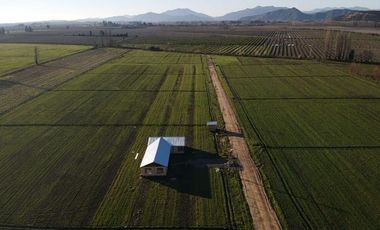 Venta de Terrenos de 5000m² en Palmilla