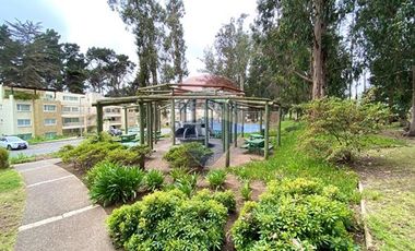 Maravilloso Depto Penthouse Barrio Golf