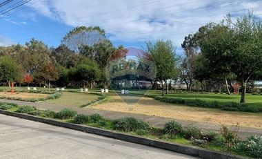 Venta, de Terreno  10.017m2, en  Coronel