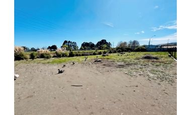 Venta, de Terreno  10.017m2, en  Coronel