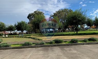 Venta, de Terreno  10.017m2, en  Coronel