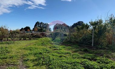 Venta, de Terreno  10.017m2, en  Coronel