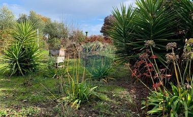 Venta, de Terreno  10.017m2, en  Coronel