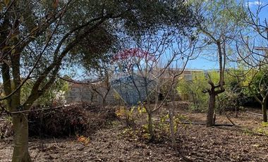 Venta, de Terreno  10.017m2, en  Coronel