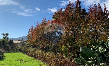 Venta, de Terreno  10.017m2, en  Coronel
