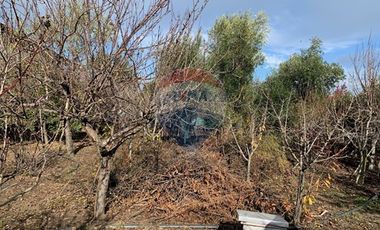 Venta, de Terreno  10.017m2, en  Coronel