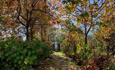 Venta, de Terreno  10.017m2, en  Coronel